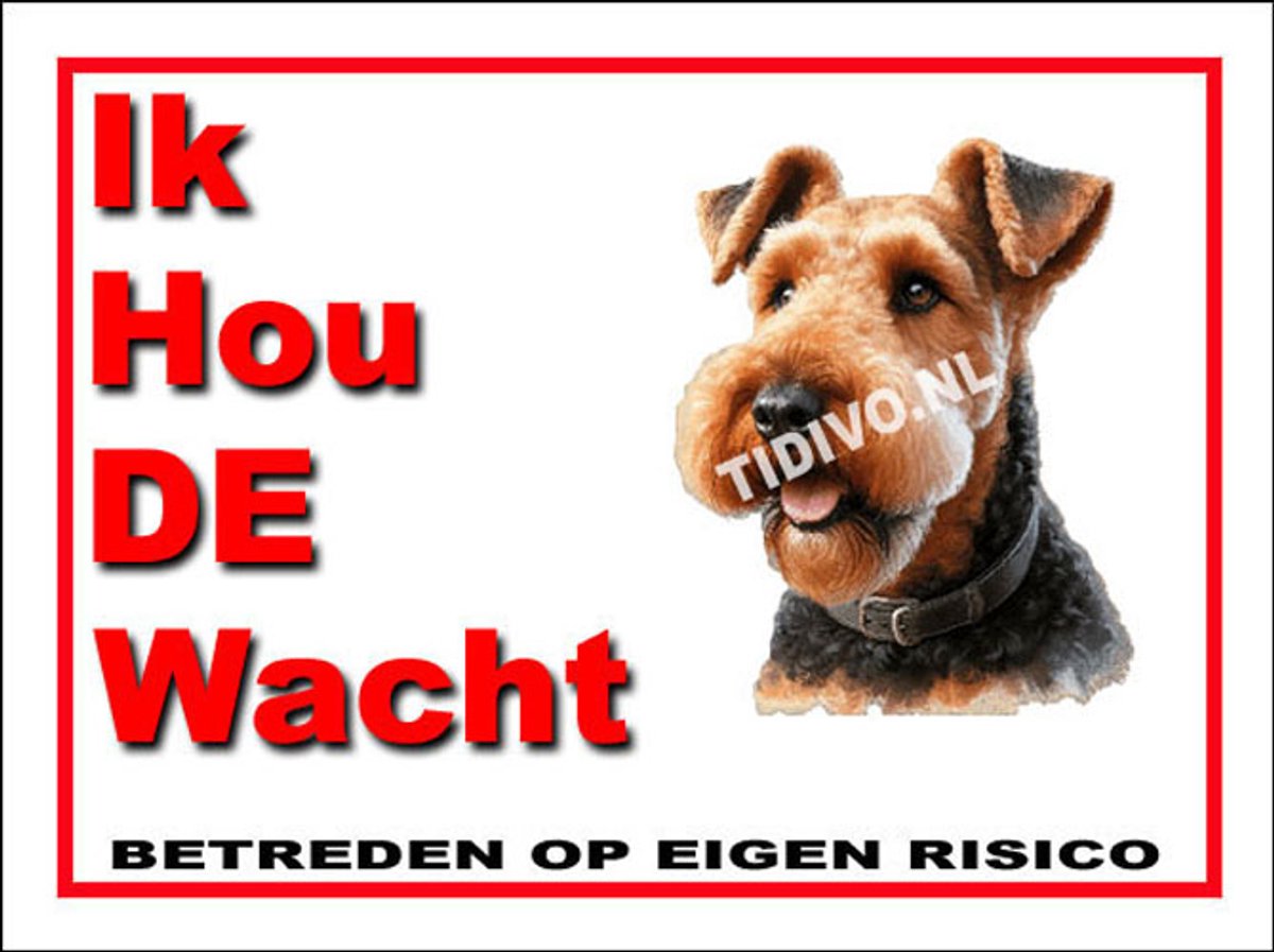 Airedale Terrier 7