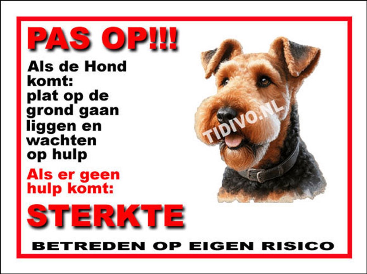Airedale Terrier 12