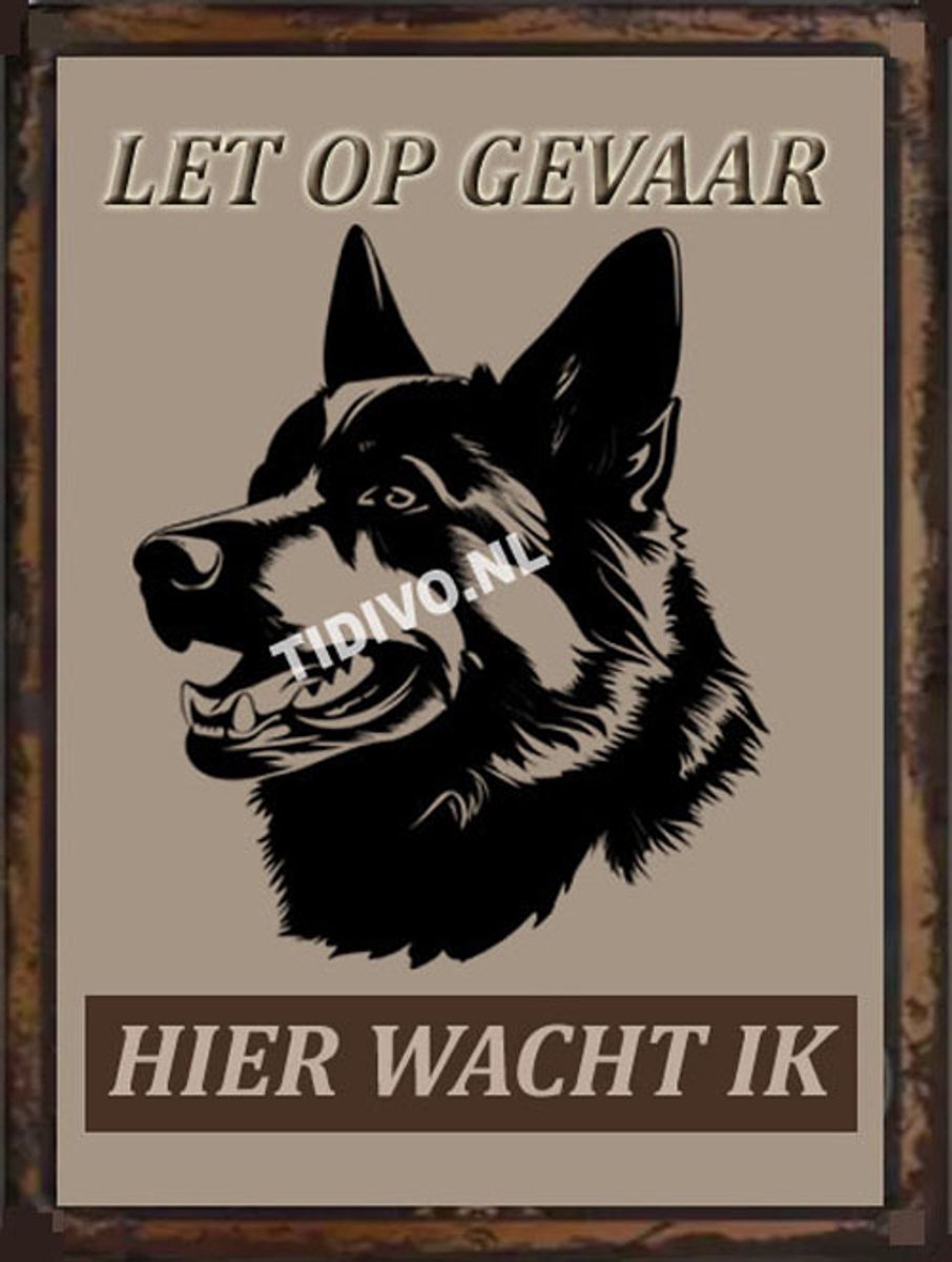 Akita 18