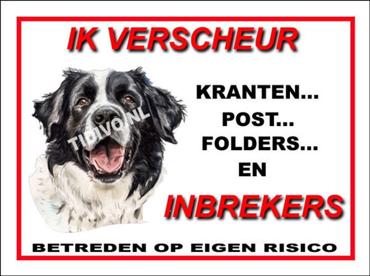 Landseer ECT 8