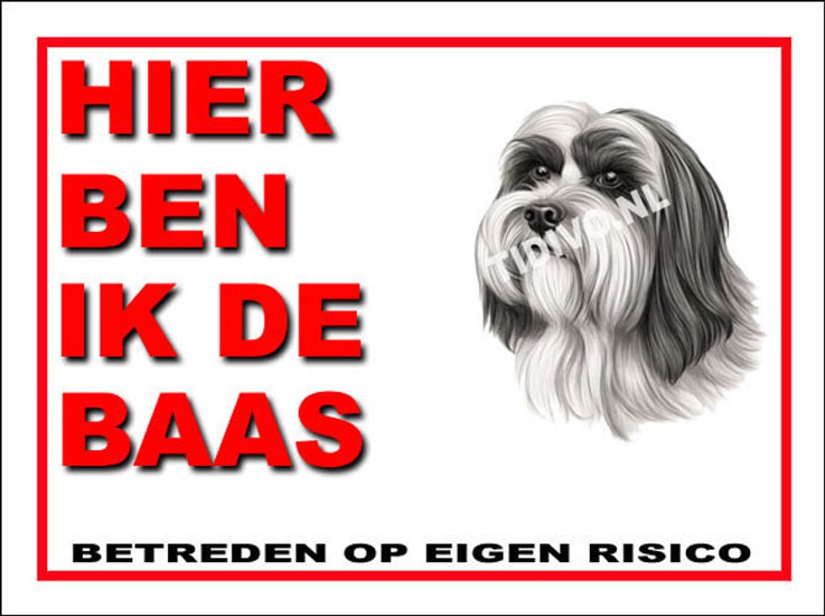 Leeuwhondje 2