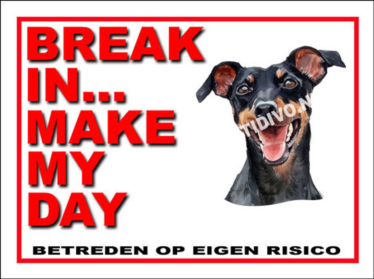 Manchester Terrier 1