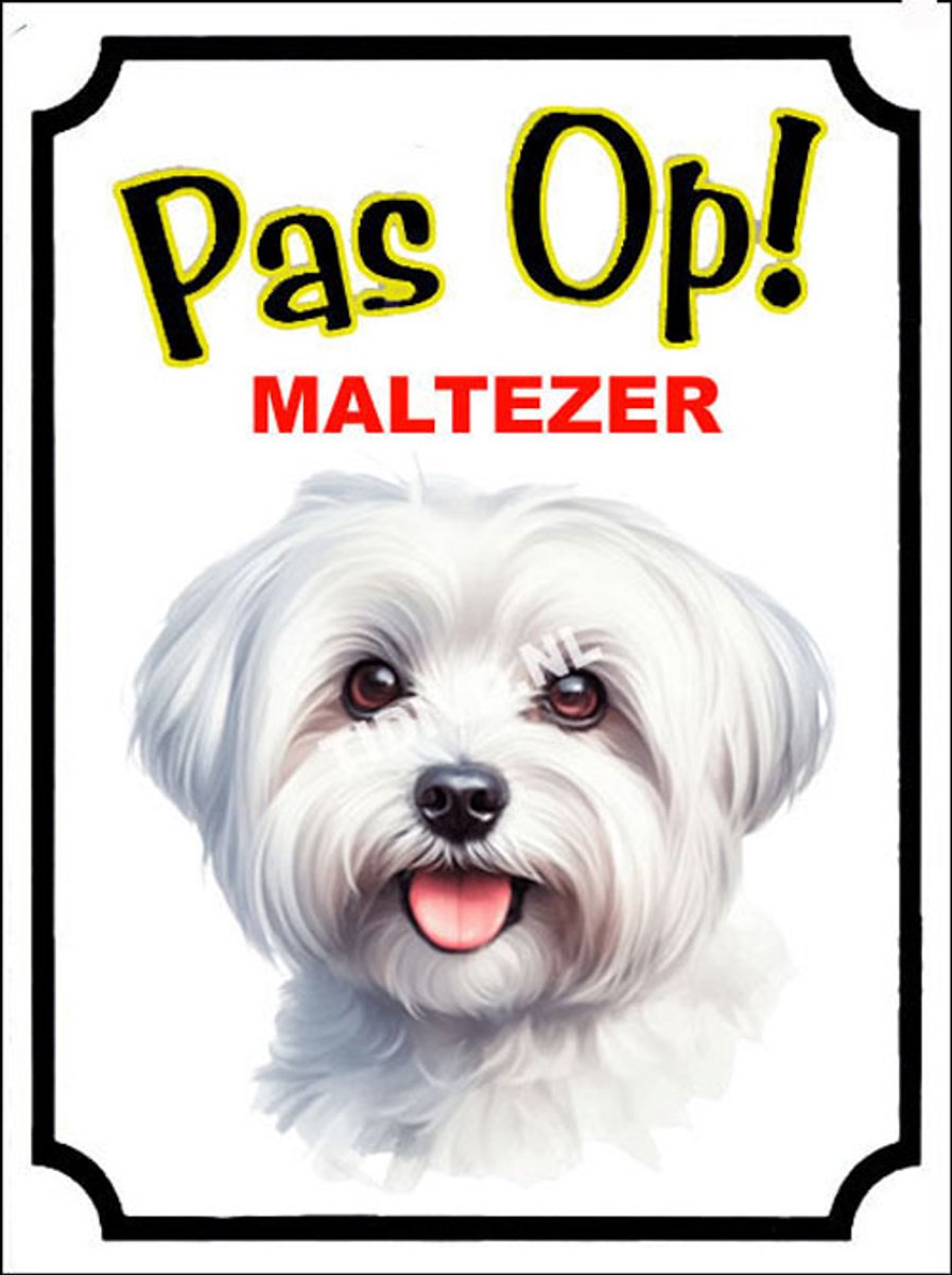 Maltezer 16