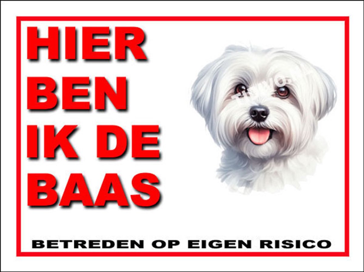 Maltezer 2
