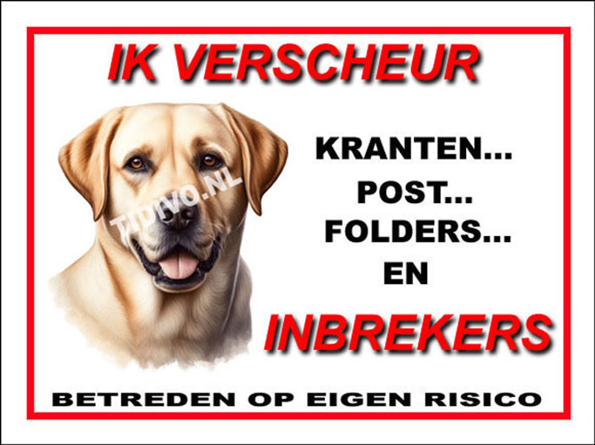 Labrador Retriever 8