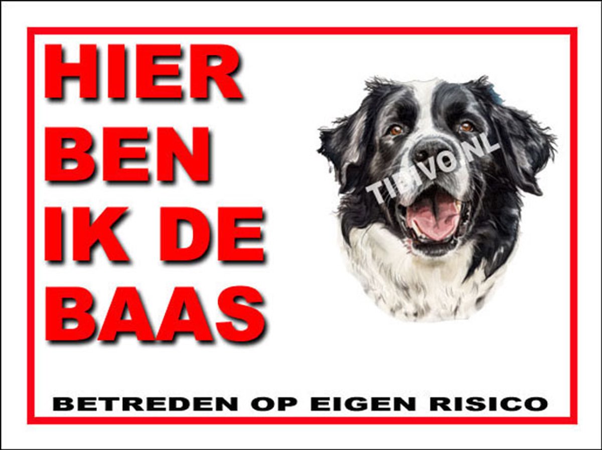 Landseer ECT 2