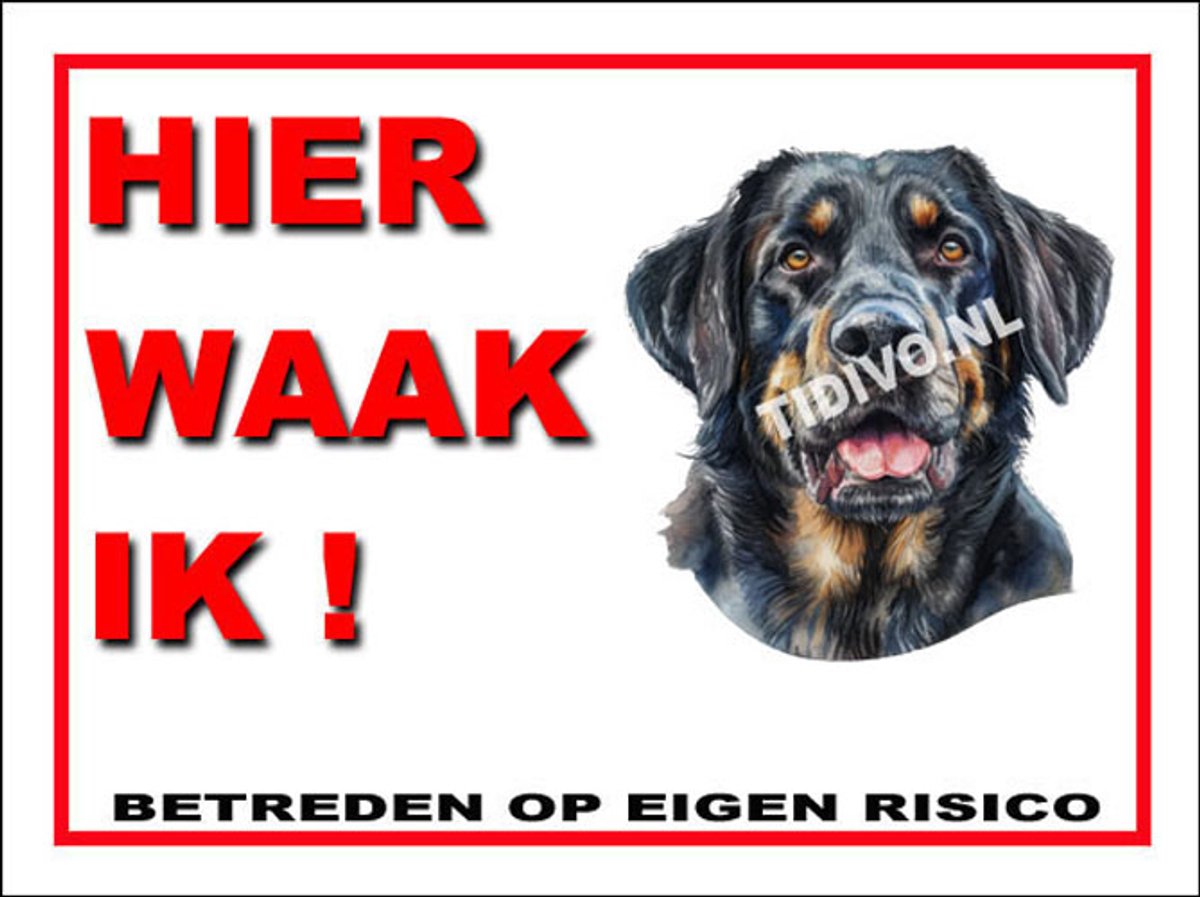 Münsterländer 3