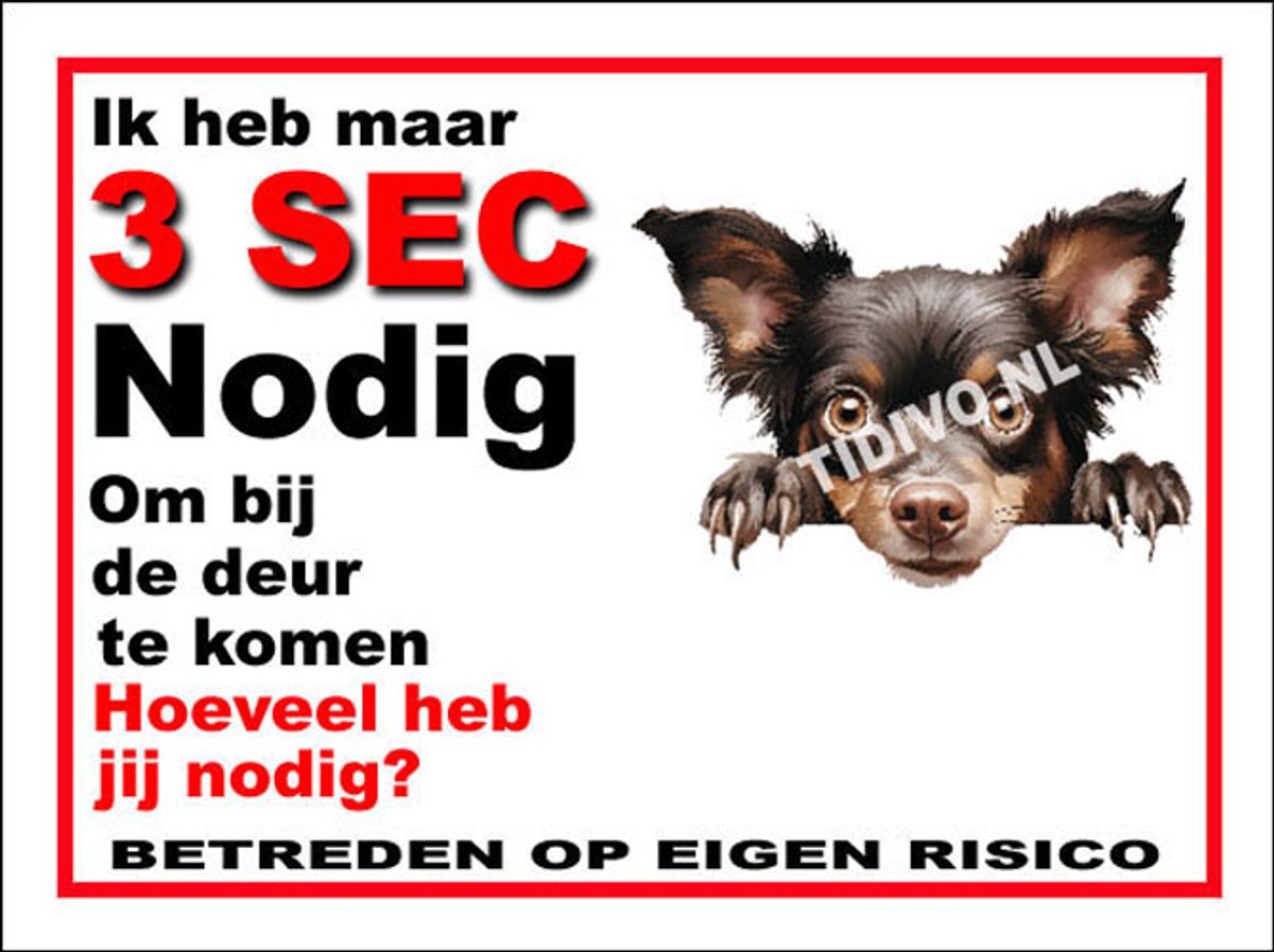 Mudi 6