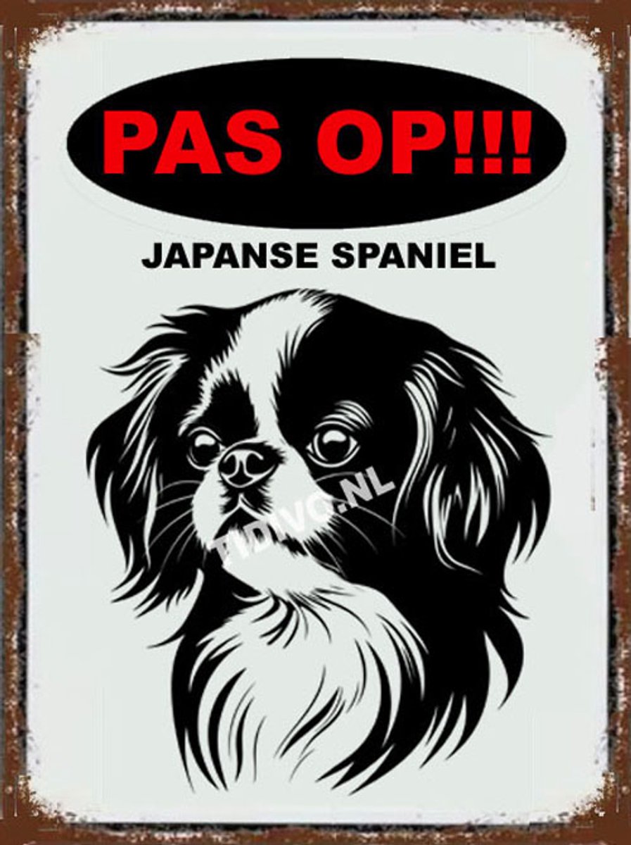 Japanse Spaniel 17