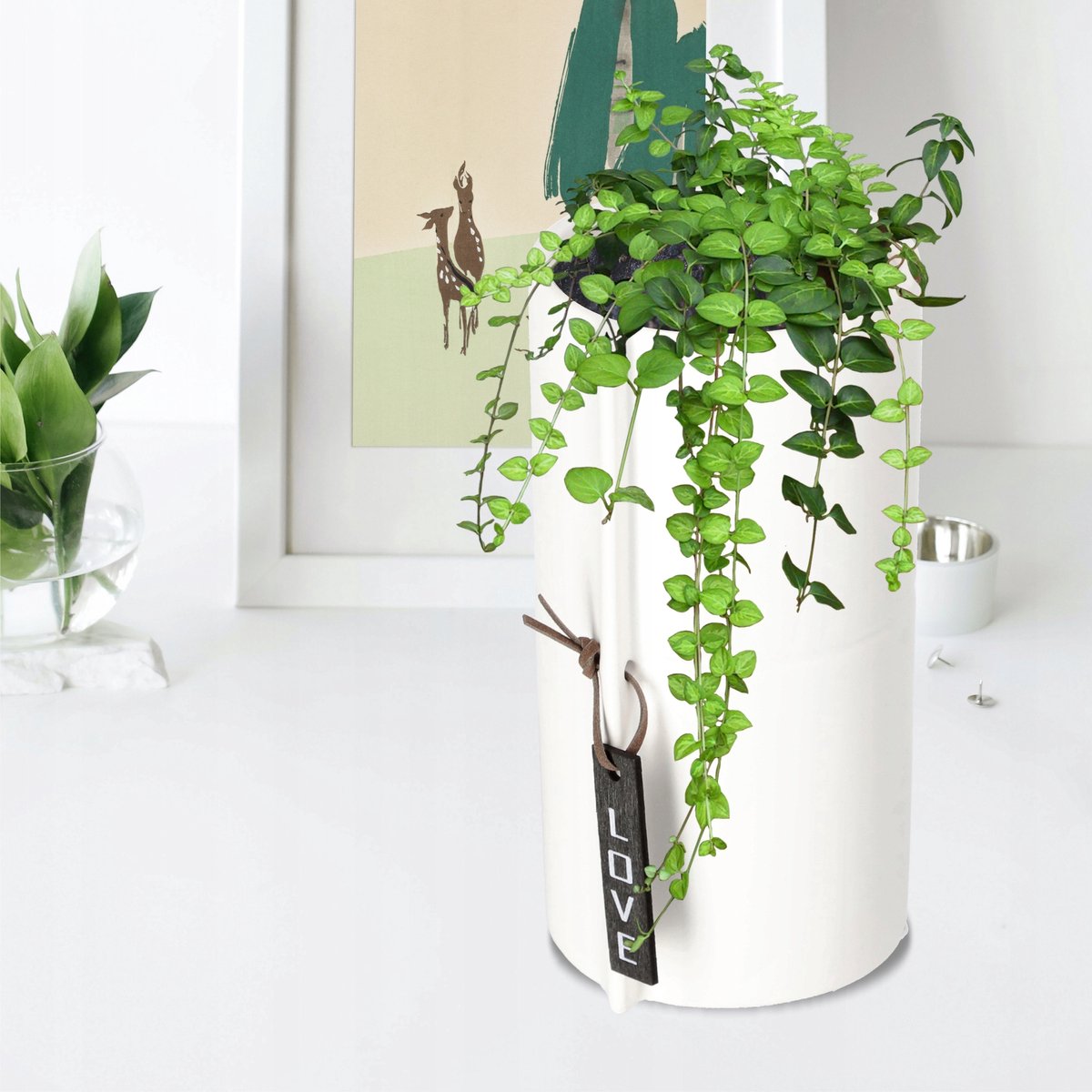 KADAX Bloempot van keramiek, 2 kleuren, bloempot, keramische bloempot, bloembak, plantenbak voor drakenbomen, viooltjes, viooltjes (wit, diameter 9 cm)