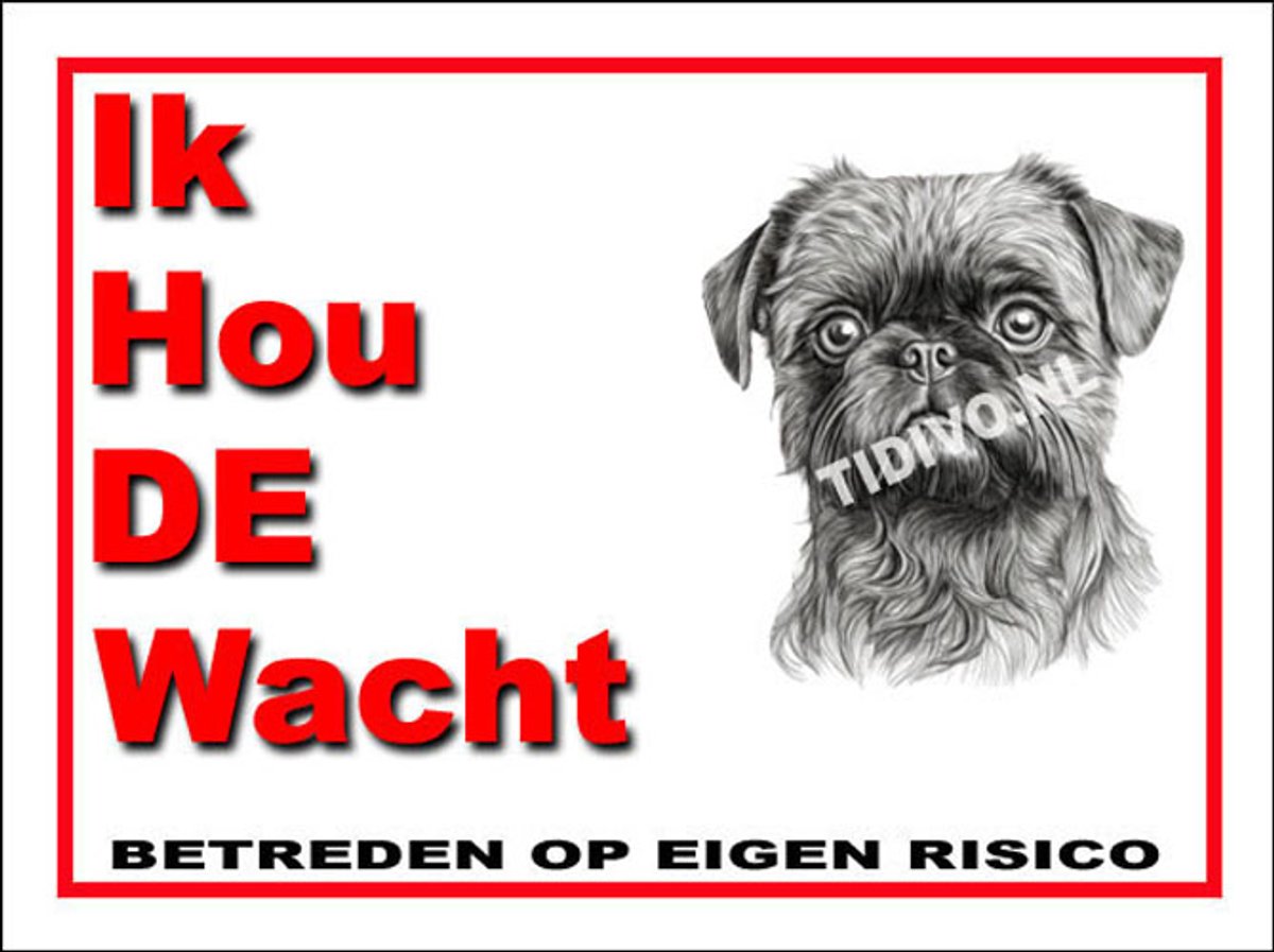 Griffon Brusselse 7