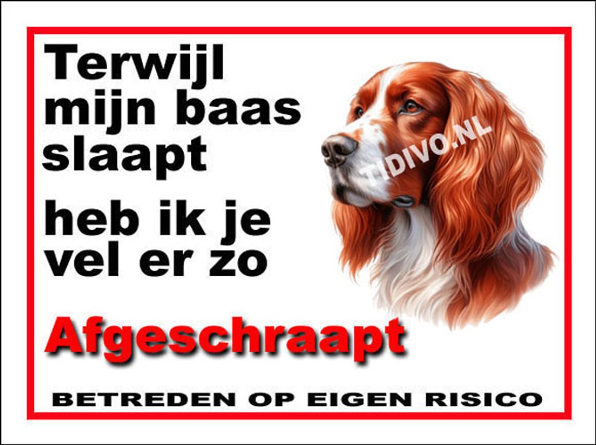 Ierse Setter 15