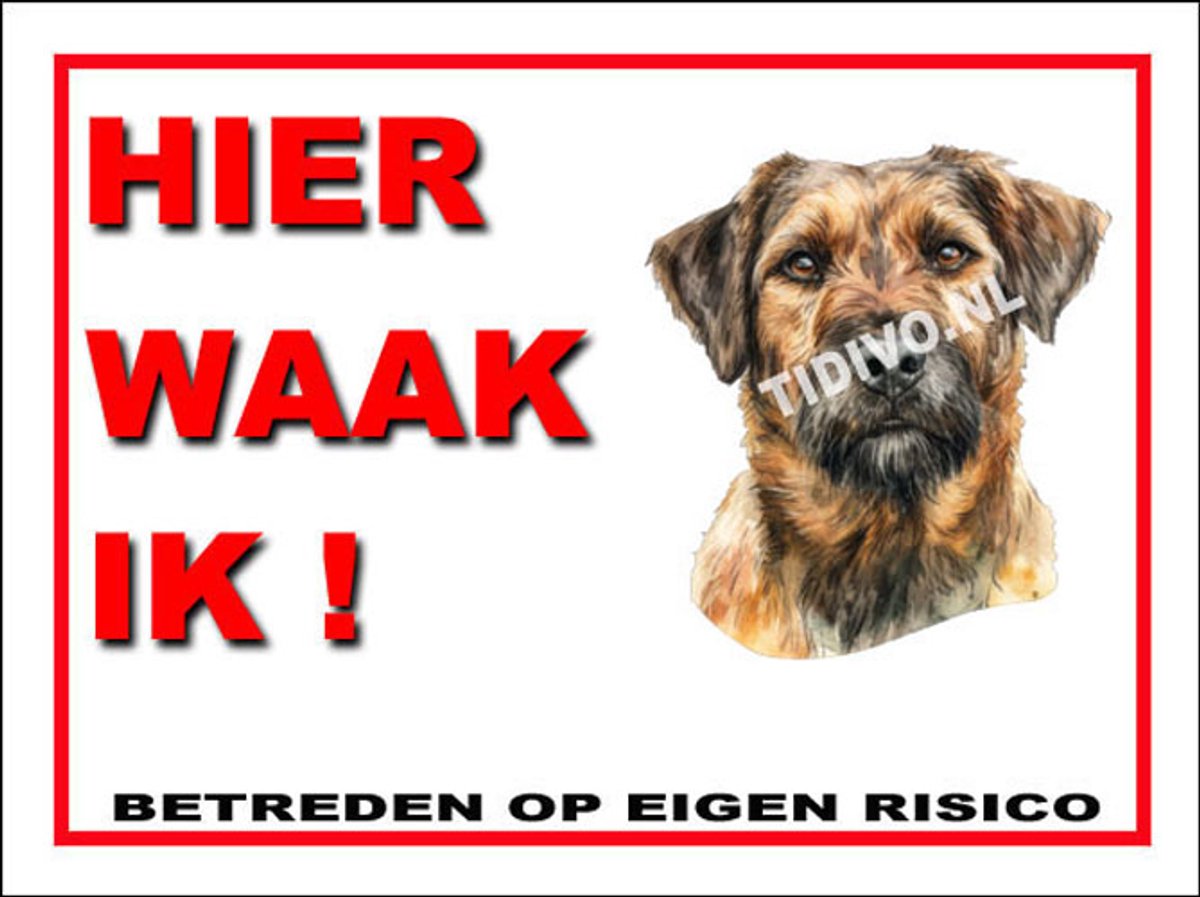 Kromfohrländer 3