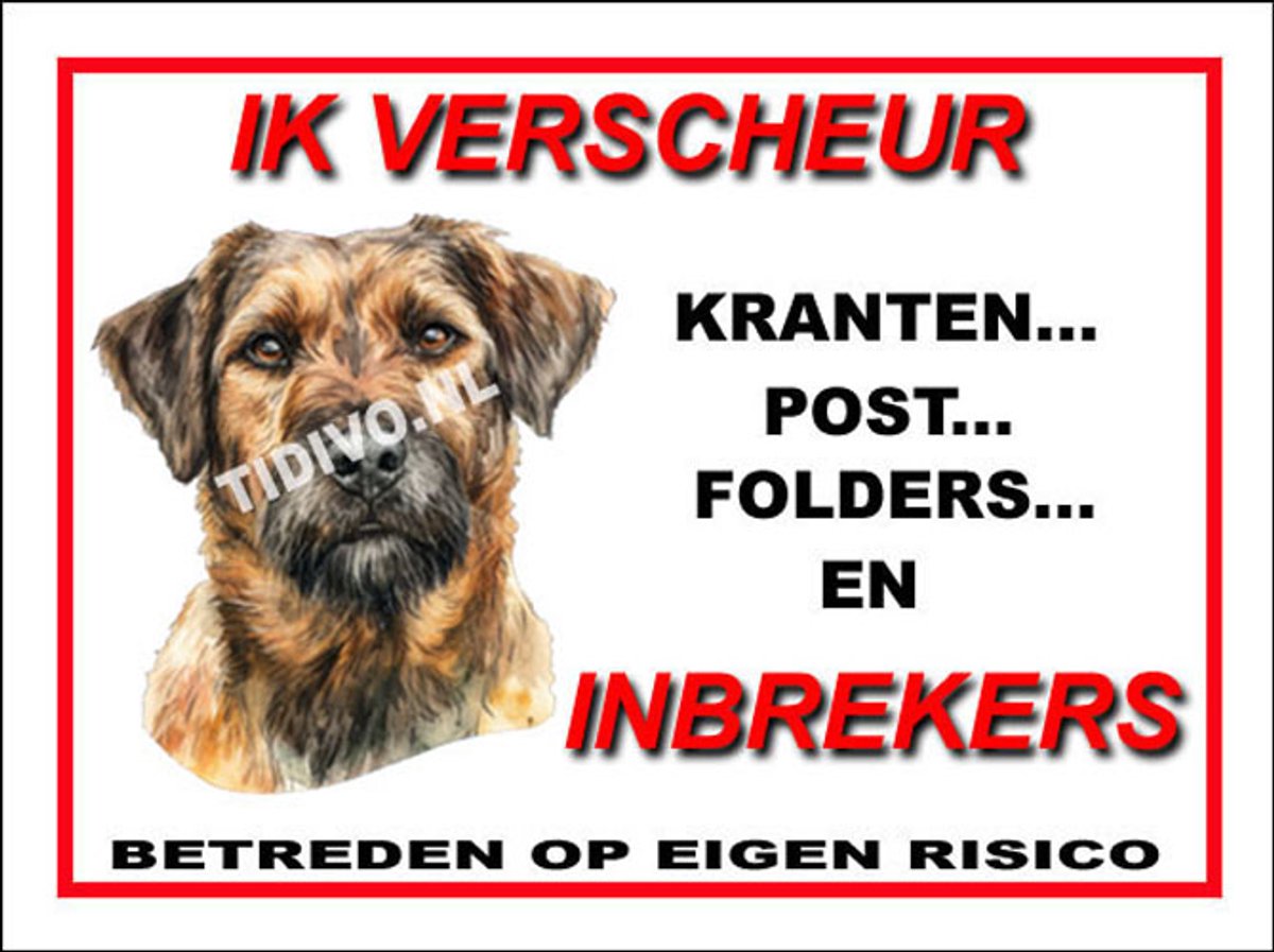Kromfohrländer 8