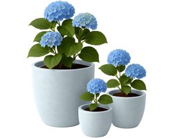 CLP Set van 3 ronde bloempotten - voor binnen en buiten - weerbestendig vorstbestendig - steenlook - plantenbakken - fiberclay - grijs