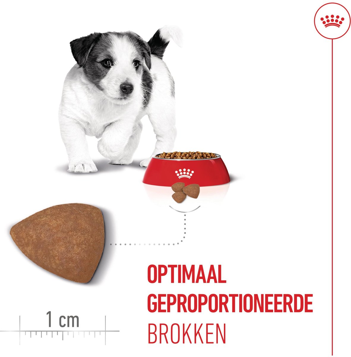 Royal Canin Mini - Puppy - 800 g - Hondenvoer thumbnail 7