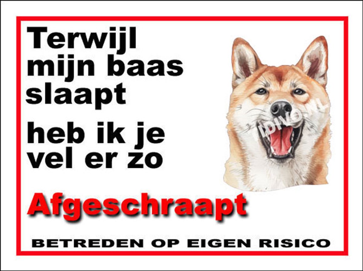 Kishu 15