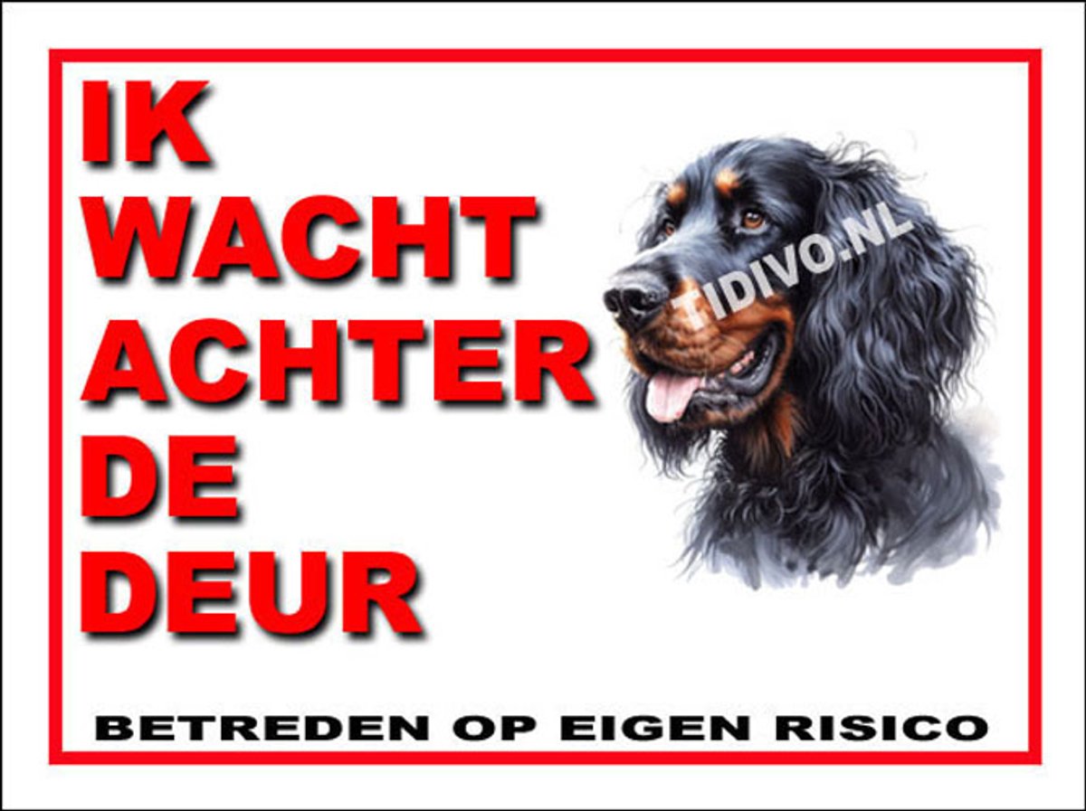 Gordon Setter 10