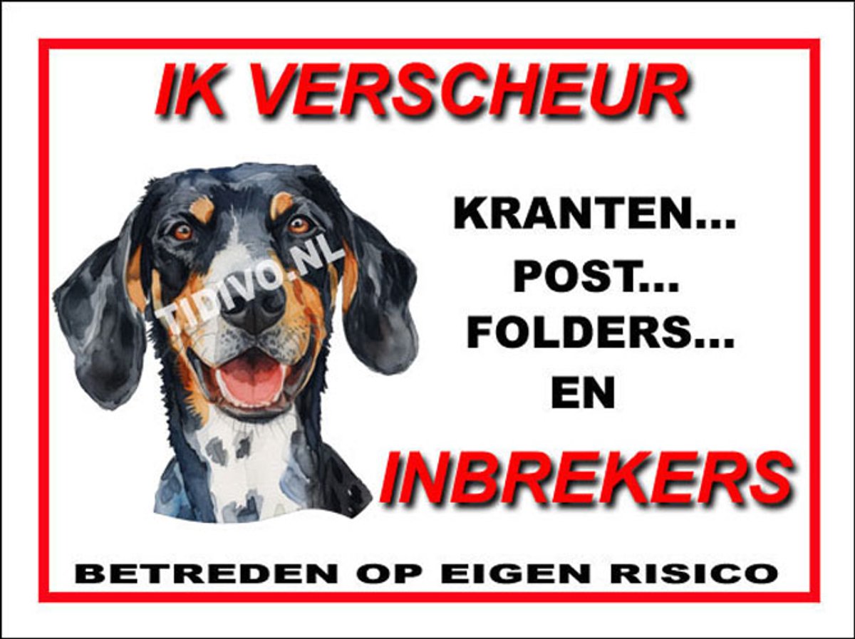 Greek Harehound 8
