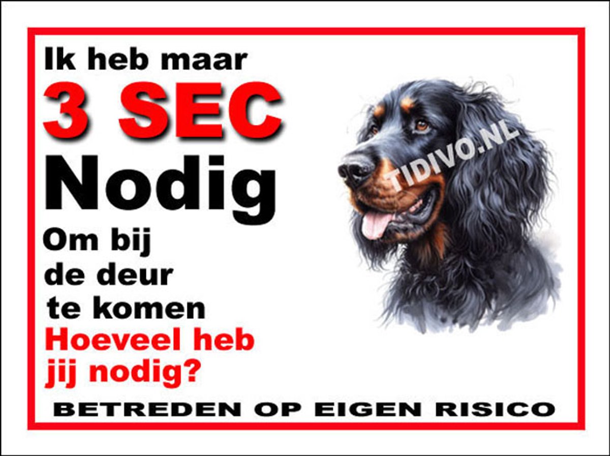 Gordon Setter 6