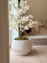 Causeway Bay Grote pot Crea Low Hexa I Sandy White I 53x32cm