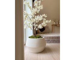 Causeway Bay Grote pot Crea Low Hexa I Sandy White I 53x32cm