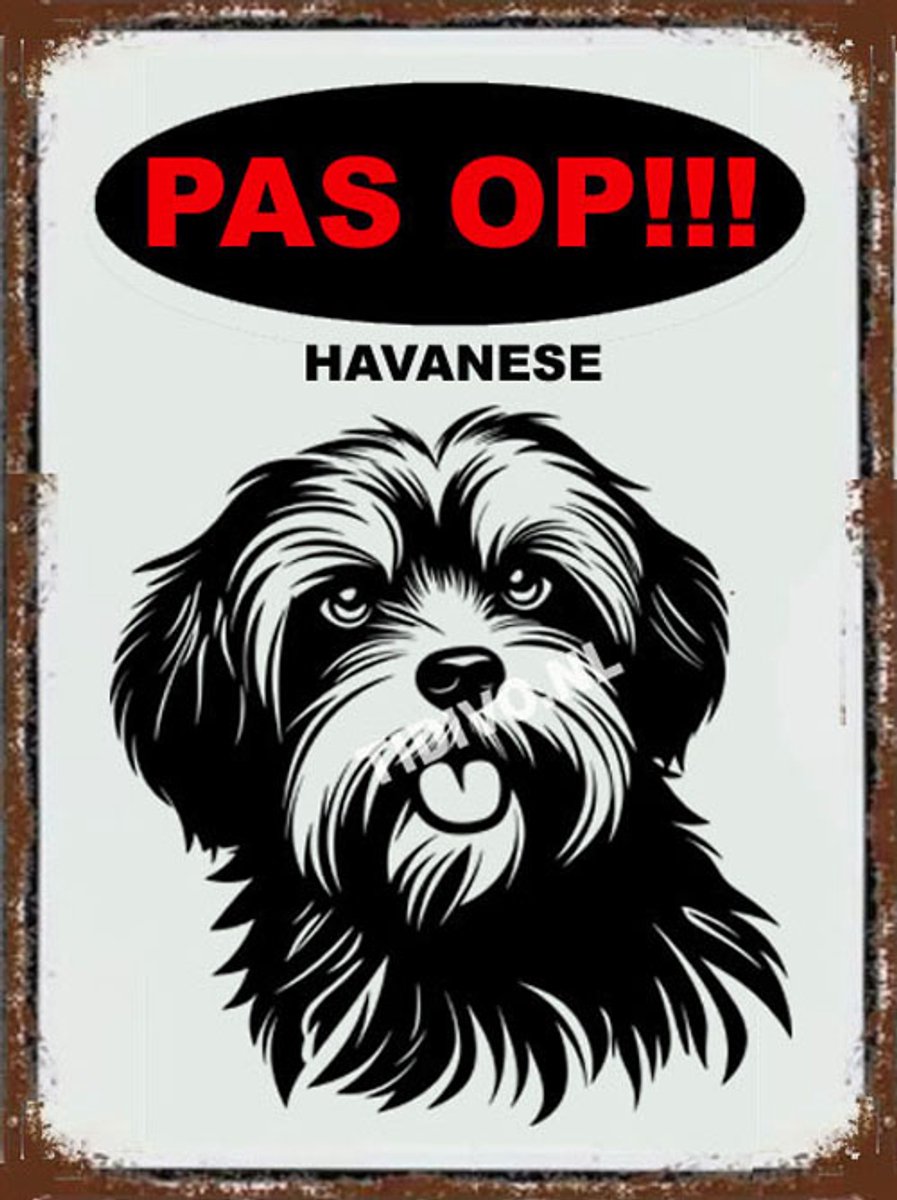 Havanezer 17