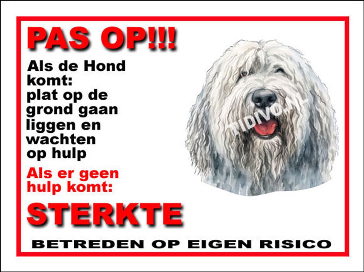 Komondor 12