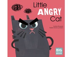 A Big Emotions Book- Little Angry Cat