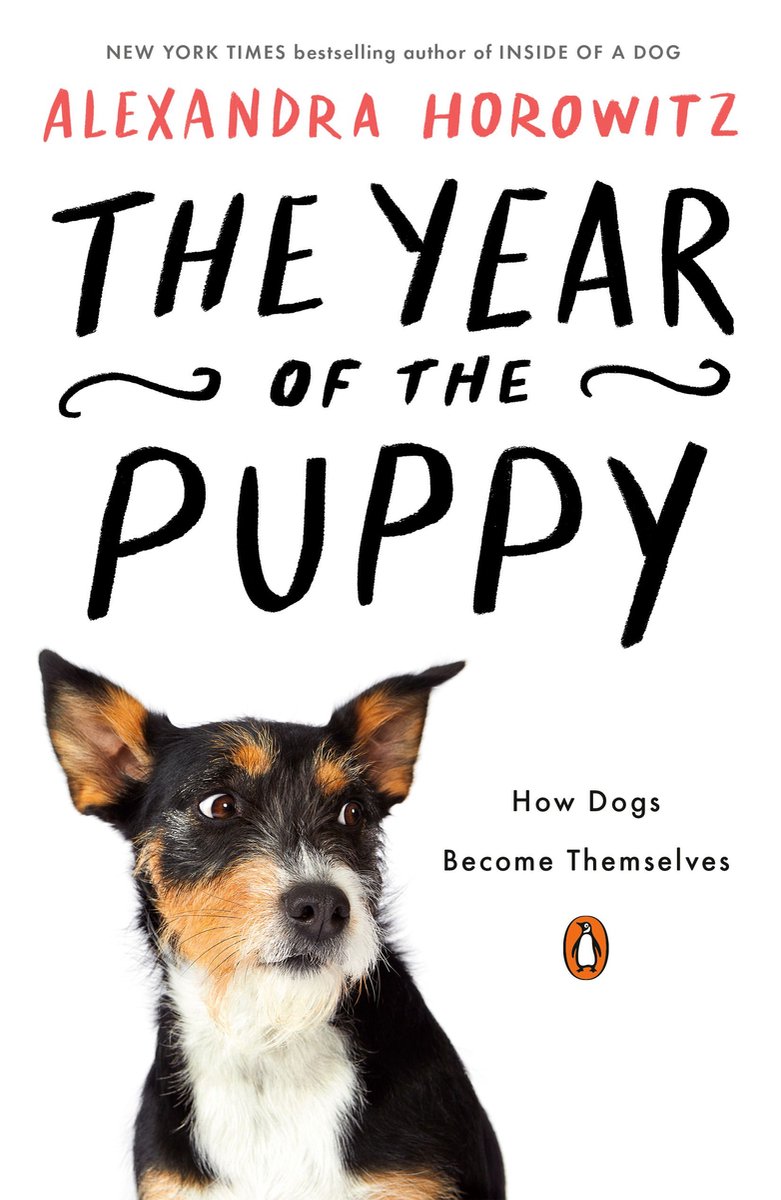 Omslag van The Year of the Puppy