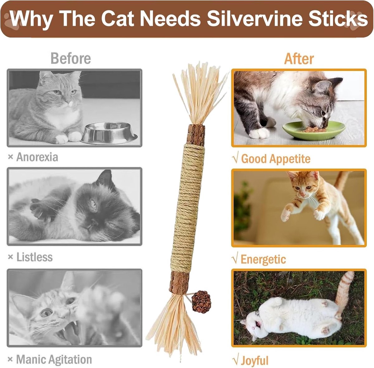 LATRAT Sticks voor katten, kauwbotten voor katten, mondgeur, natuurlijke houten kattenkruidsticks voor tanden, speelgoed (32 stuks