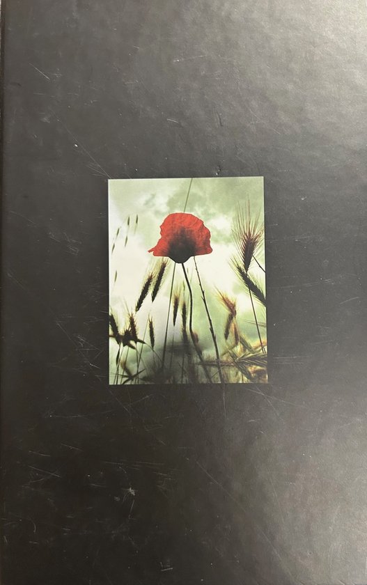 Century 1 - Val der titanen - cover