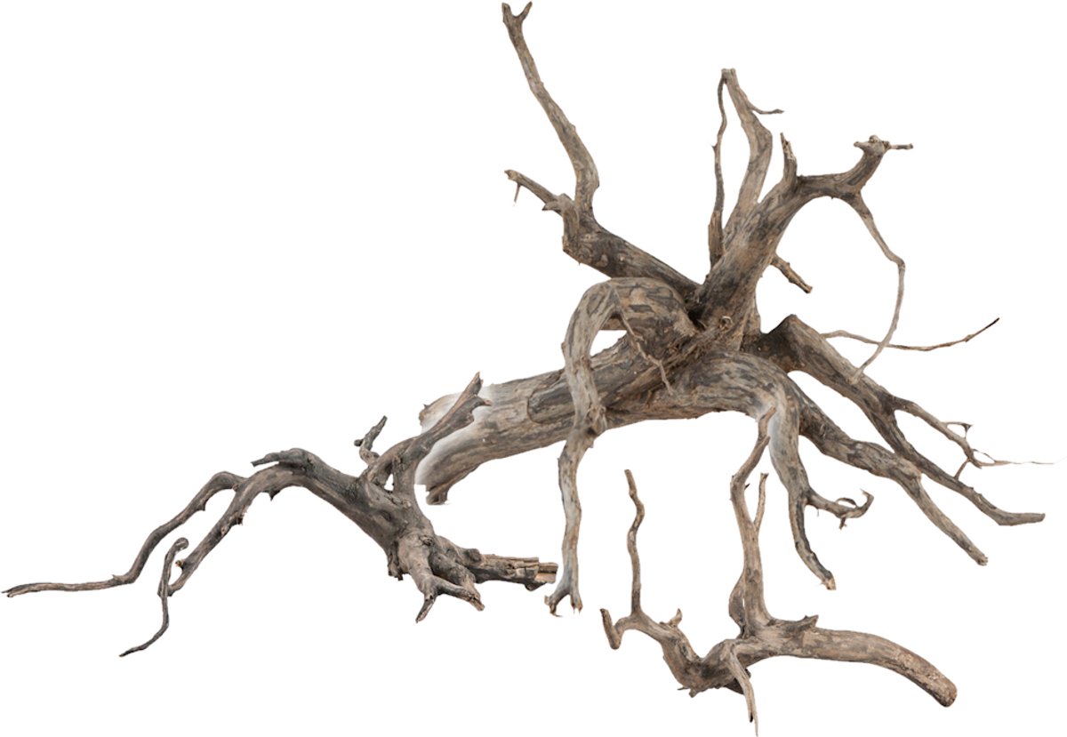 Sera Scaper Root XS - 18-20CM