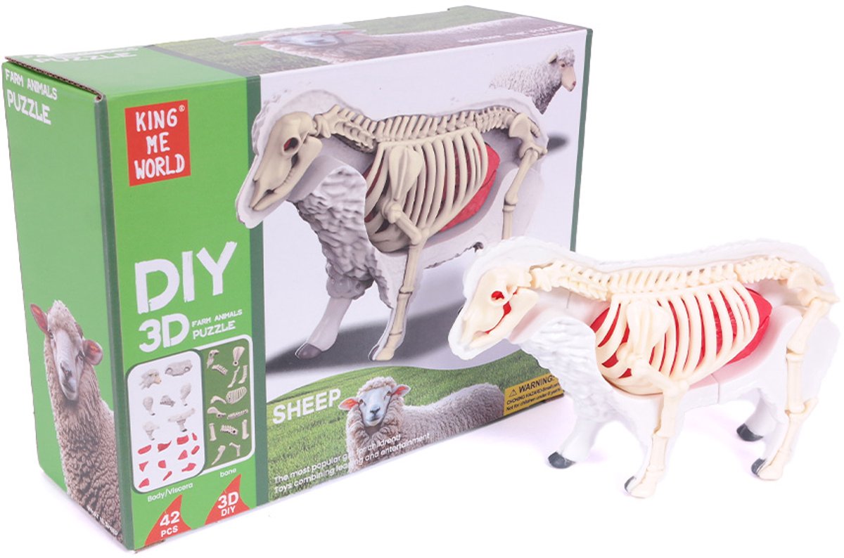 PIA Soft Toys - 3D Anatomie - Schaap