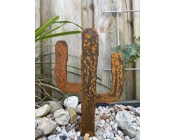 STALEN DESIGN - Tuinvorm CACCTUSS - CORTENSTAAL - Staal - Tuinaccessoires - Tuindecoratie - Plant - Gezellig - MADE IN HOLLAND STALEN DESIGN - Tuinvorm CACCTUSS - CORTENSTAAL - Staal - Tuinaccessoires - Tuindecoratie - Plant - Gezellig - MADE IN HOLLAND