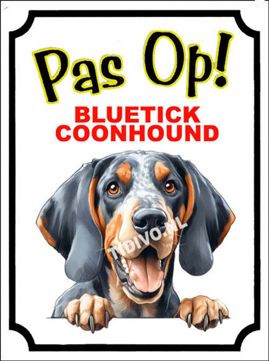 Bluetick Coonhound 16