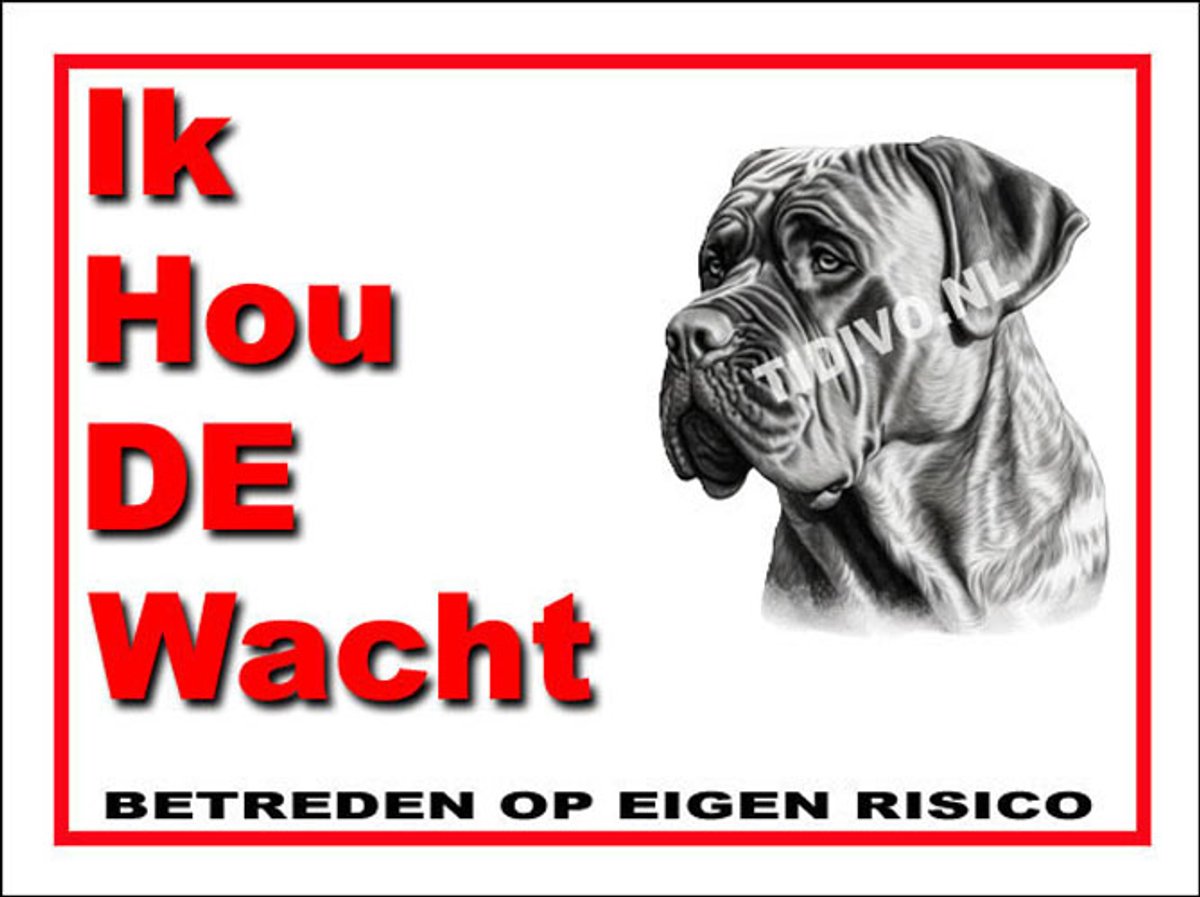 Boerboel 7