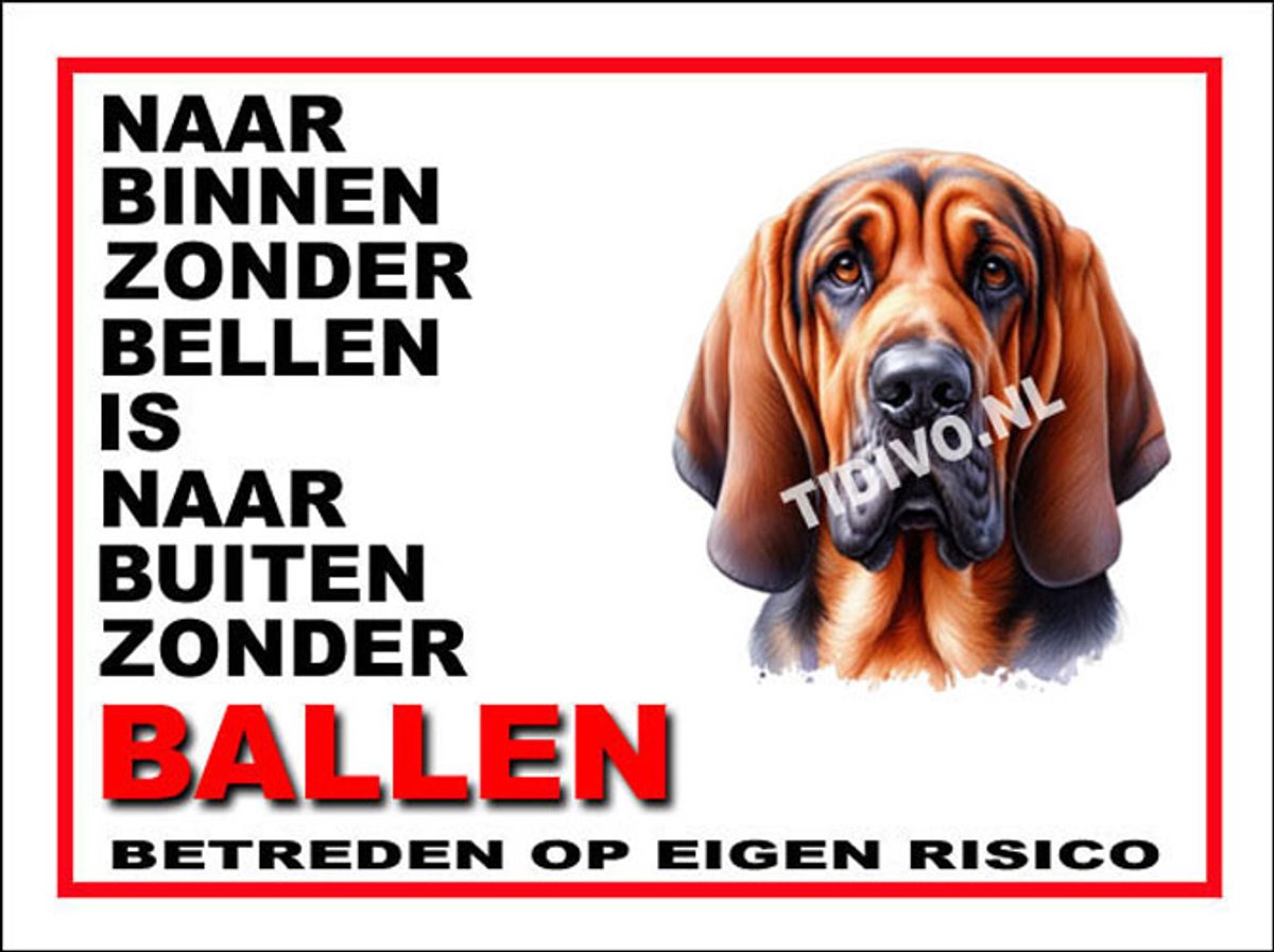 Bloedhond 11