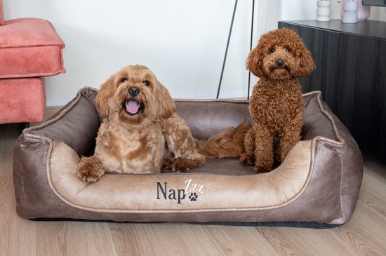 NapZZZ Lit/Divan pour chien L 100x80x25 cm Aspect cuir Marron Orthopédique