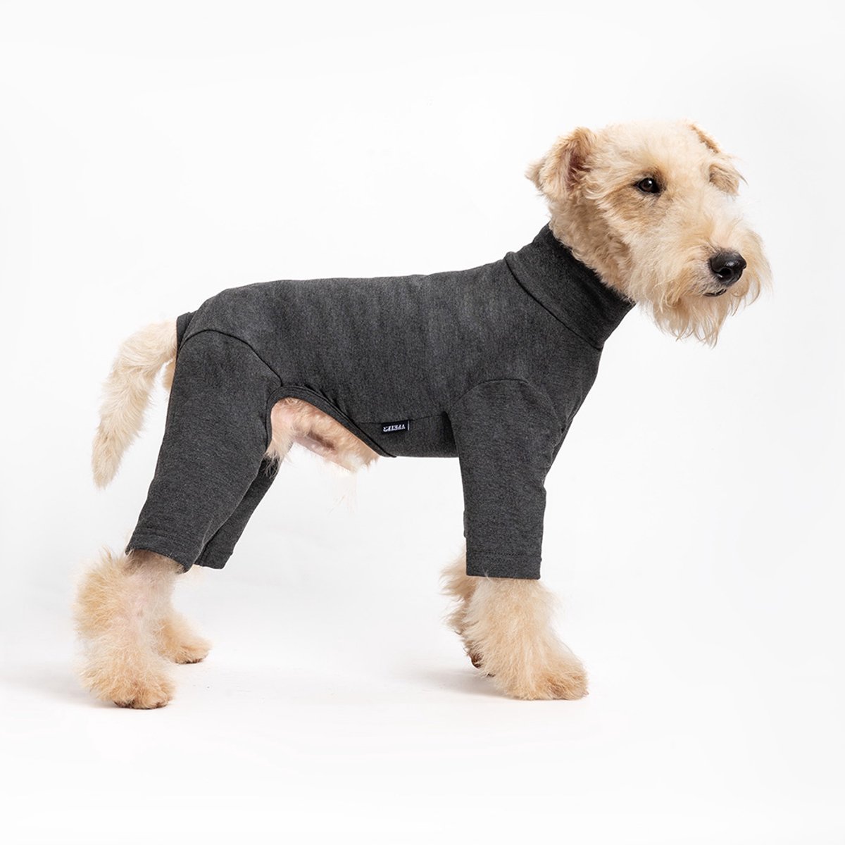 Dogs&Co® Comfort Jumpsuit voor Honden Antraciet Maat M