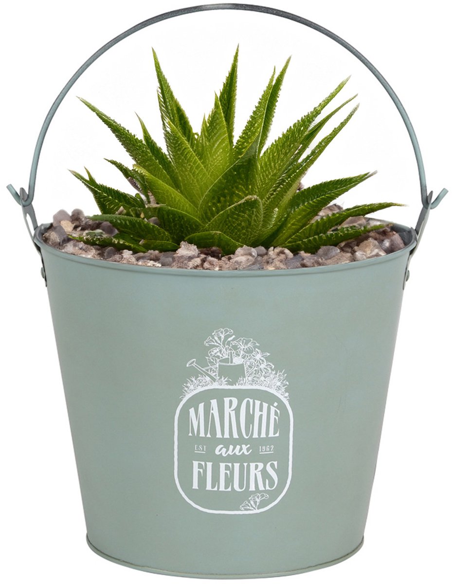 Sunnydays Emmer/plantenpot/bloempot - zink - jadegroen - D24 x H19 cm