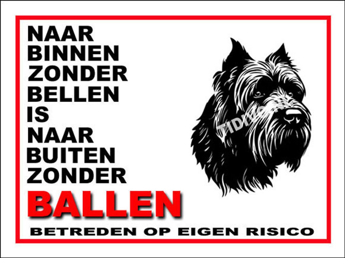 Bouvier 11