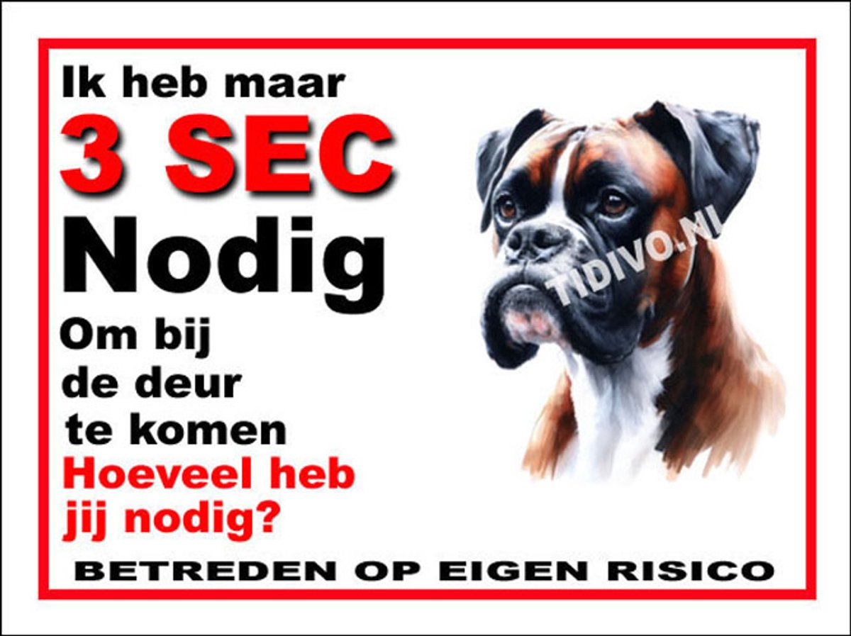 Boxer 6