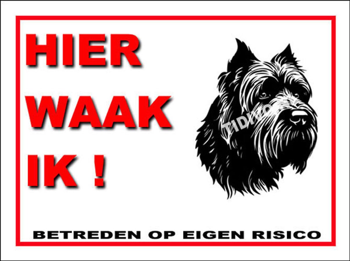 Bouvier 3