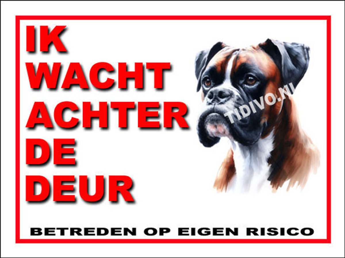 Boxer 10