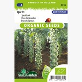 Sluis Garden - Spruitkool Igor F1 Biologisch
