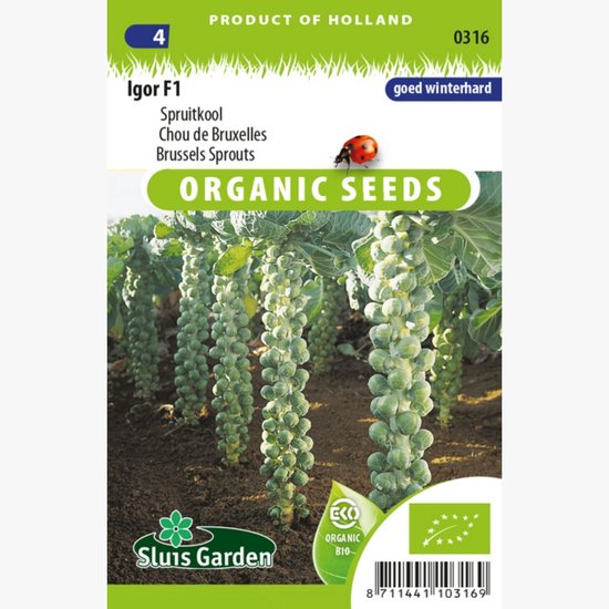 Sluis Garden - Spruitkool Igor F1 Biologisch