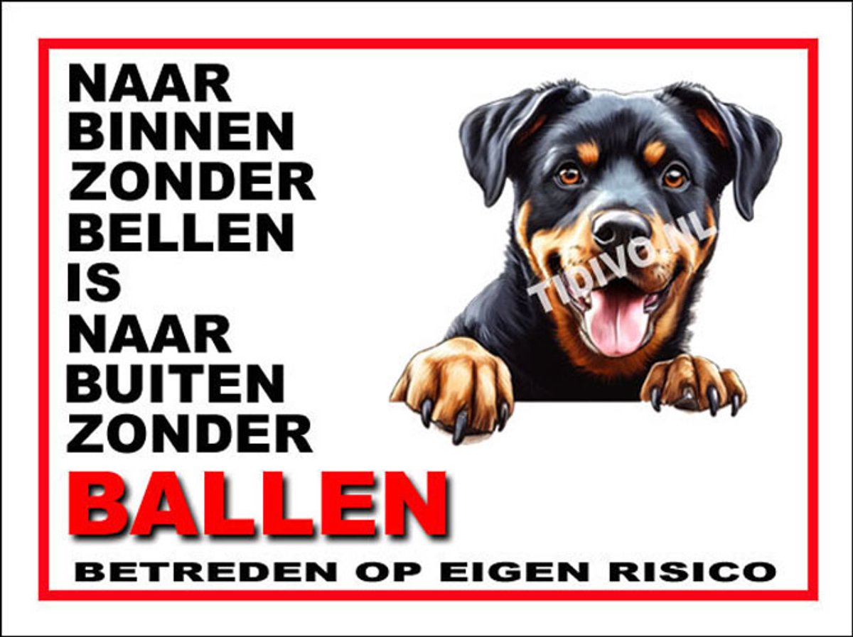 Beauceron 10
