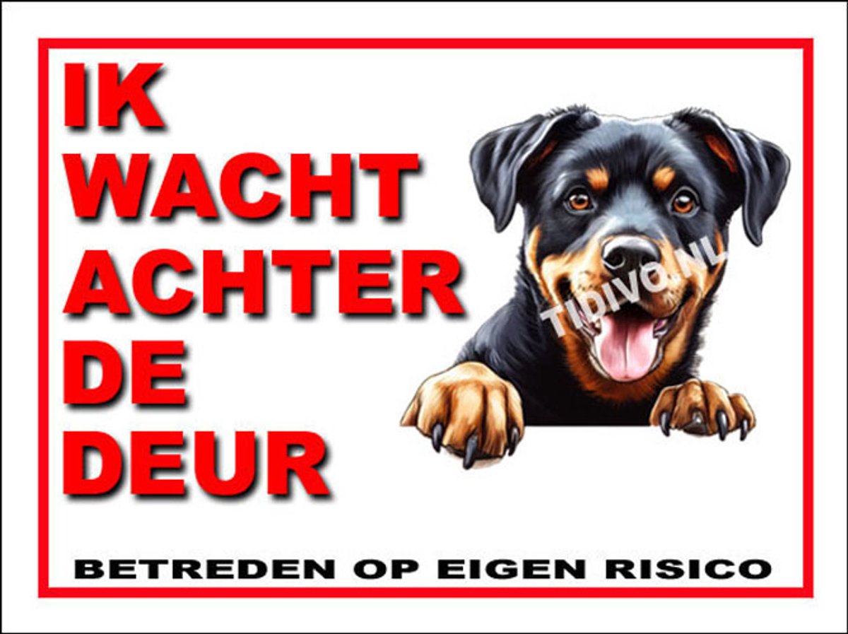 Beauceron 9