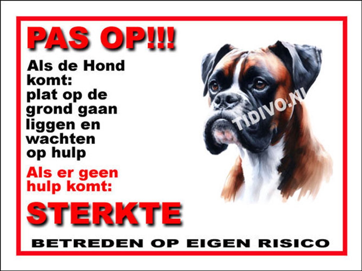 Boxer 12